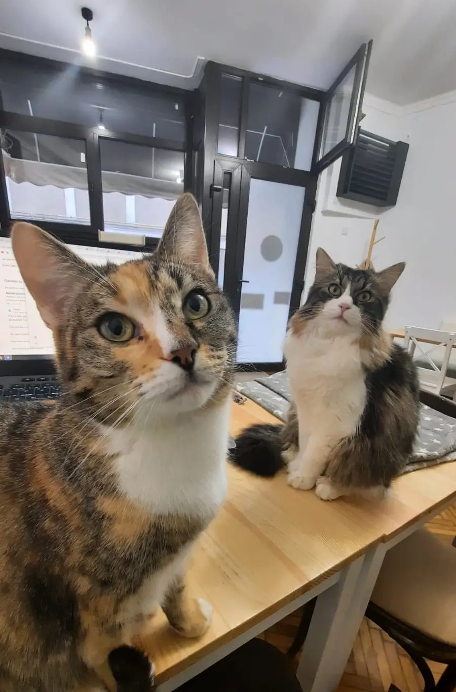 Ori si Cassi
